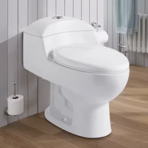 WC Baño Inodoro One Piece Oval - Modelo Premier