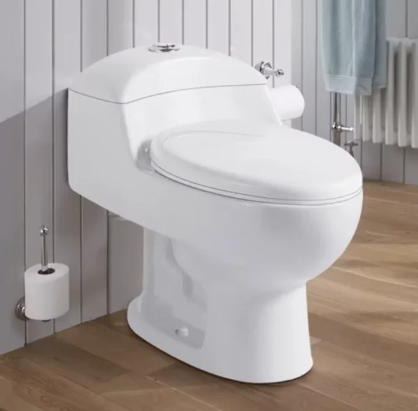 WC Baño Inodoro One Piece Oval - Modelo Premier