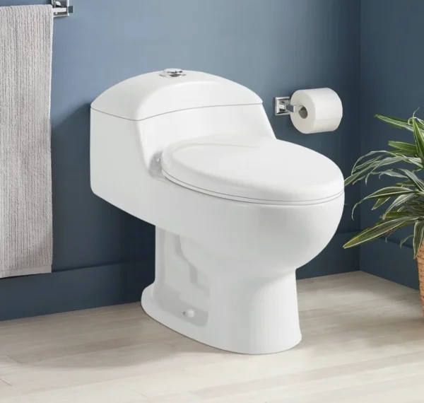 WC Baño Inodoro One Piece Oval - Modelo Premier - Imagen 3